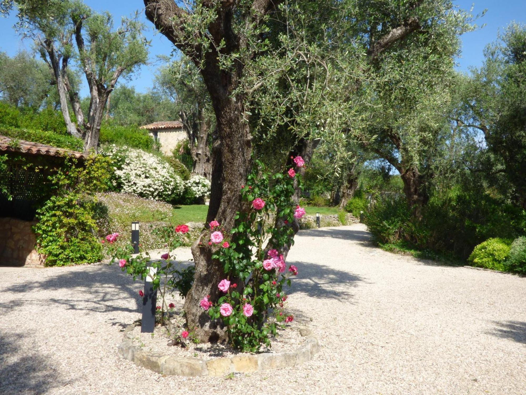 Apartment Picasso In Large Park With Heated Pool Chateauneuf-Grasse Buitenkant foto